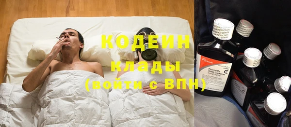 гидра Ельня