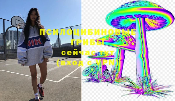 гидра Ельня