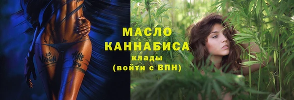 гидра Ельня