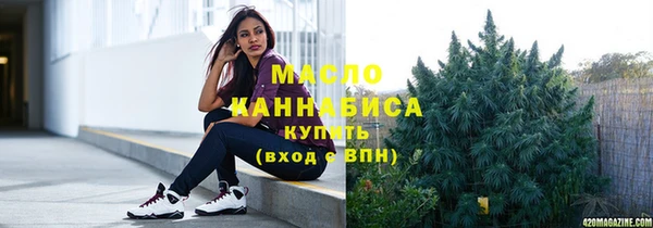 гидра Ельня