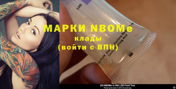 гидра Ельня