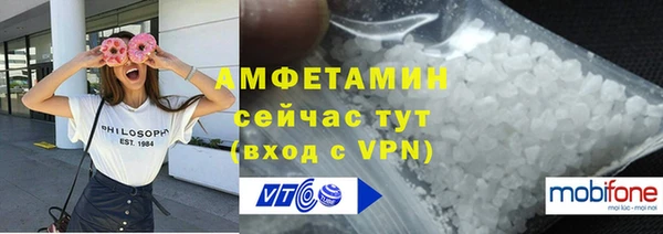 гидра Ельня