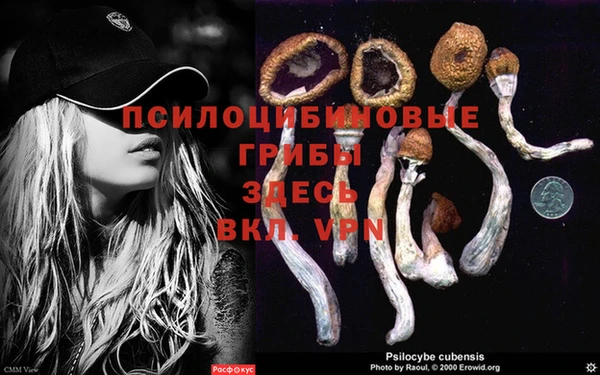 скорость Елизово