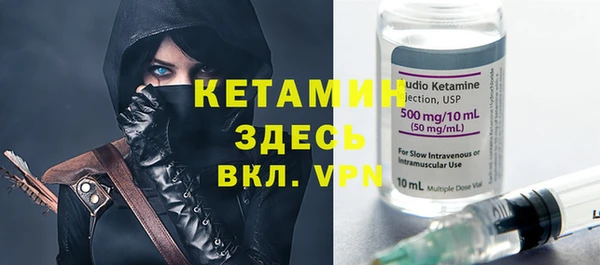 гидра Ельня