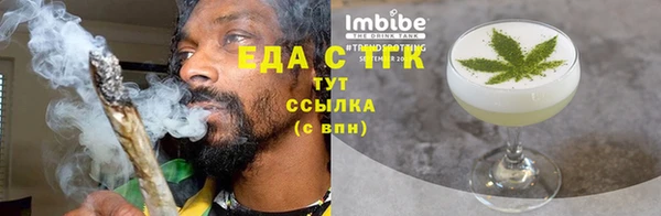 гидра Ельня