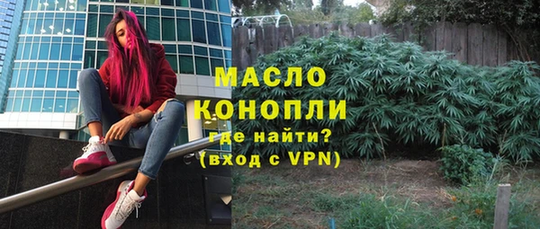мдпв Елабуга