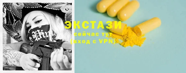 гидра Ельня