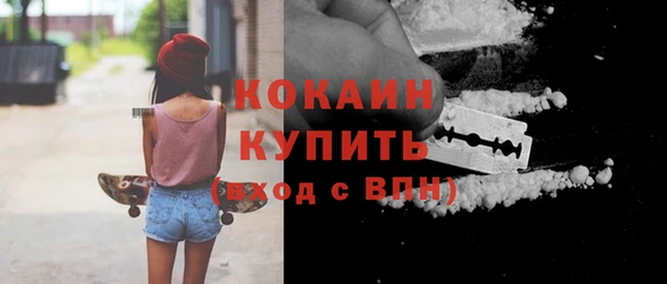 мдпв Елабуга