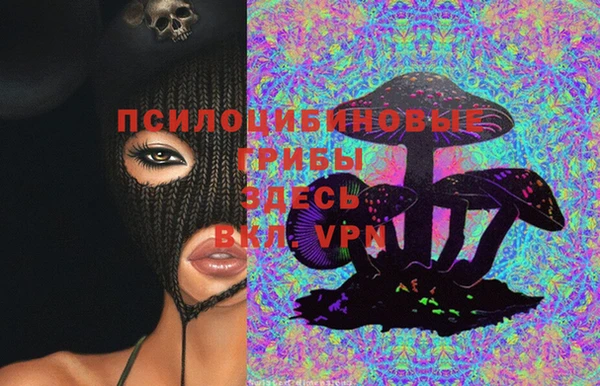 скорость Елизово