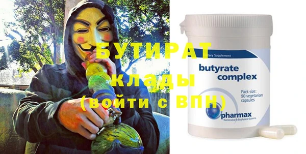 гидра Ельня