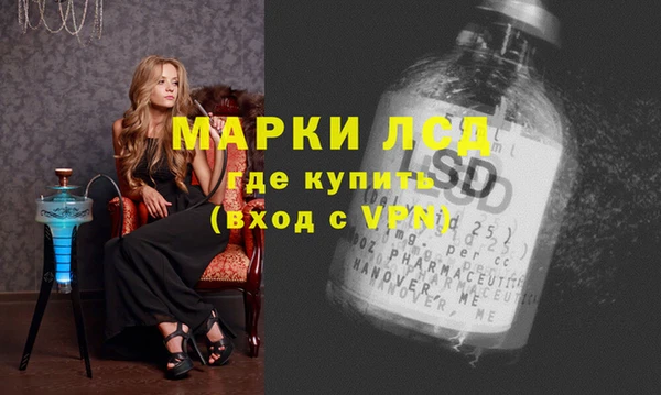 гидра Ельня