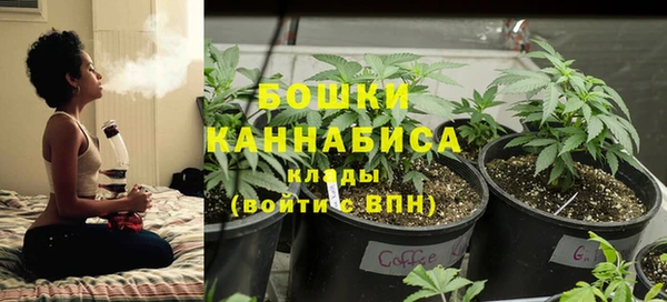гидра Ельня