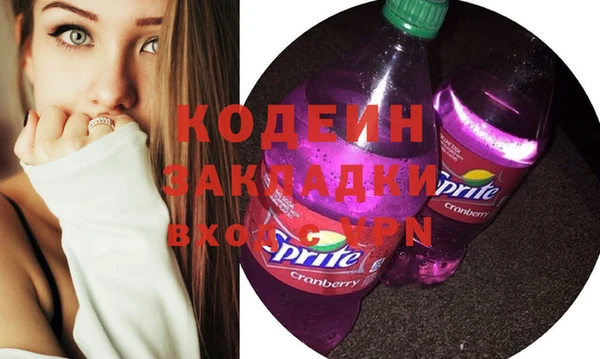 мдпв Елабуга