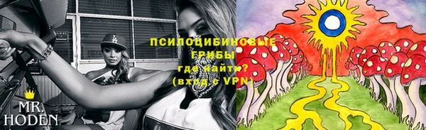 мдпв Елабуга