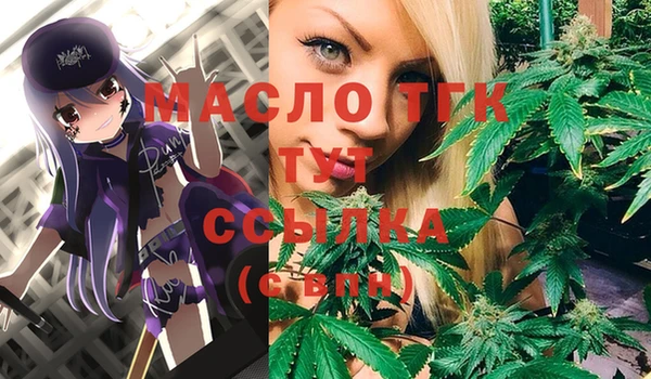 гидра Ельня