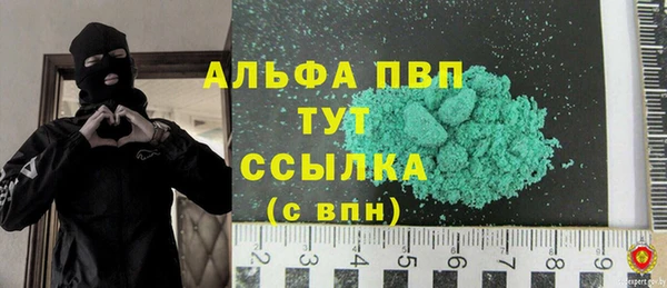 гидра Ельня