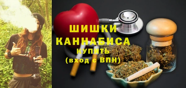 мдпв Елабуга