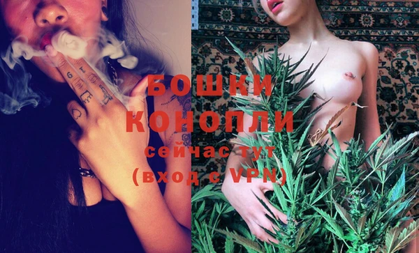 мдпв Елабуга
