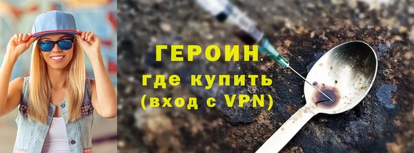 гидра Ельня