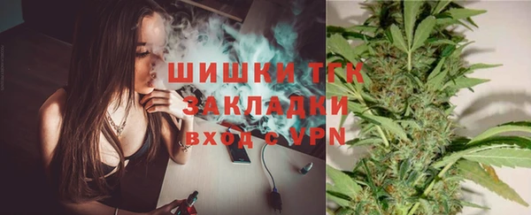 гидра Ельня